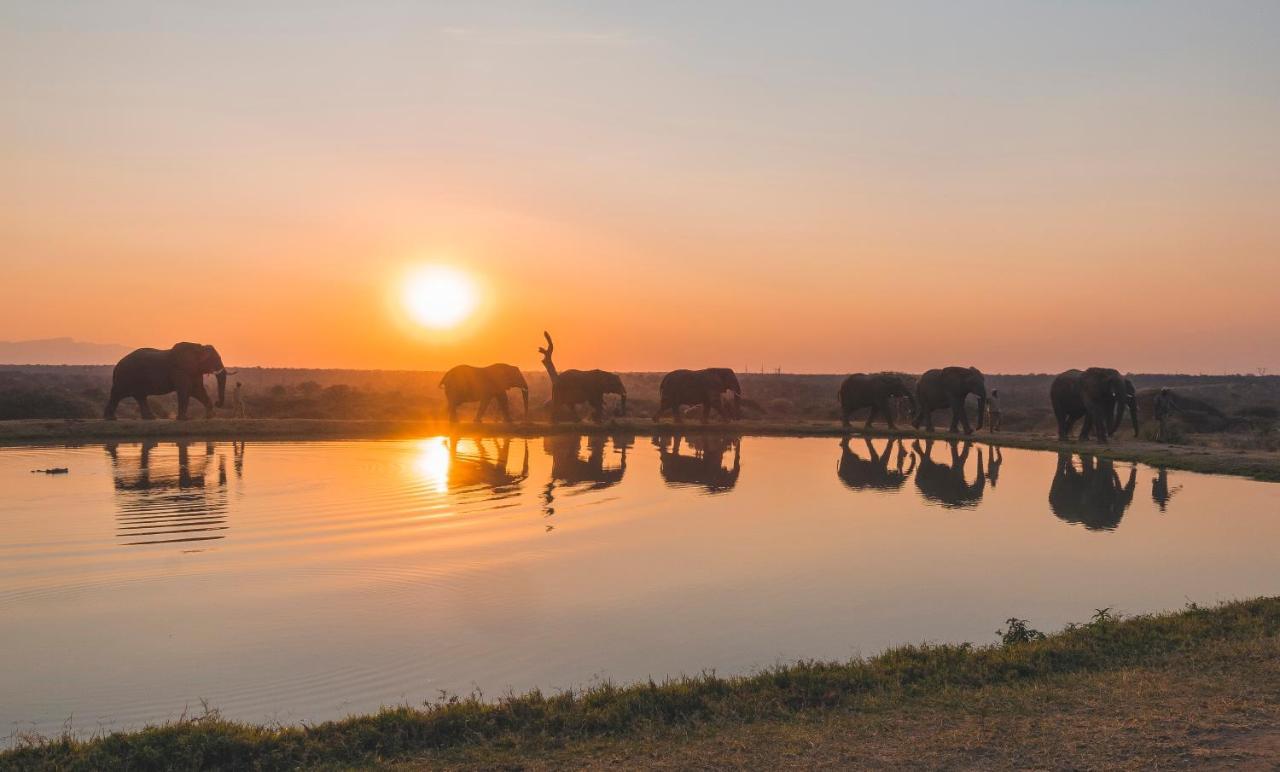 Kapama Game Reserve 캠프 자불라니 로지 빌라 외부 사진
