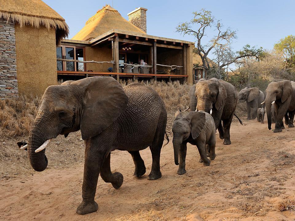 Kapama Game Reserve 캠프 자불라니 로지 빌라 외부 사진